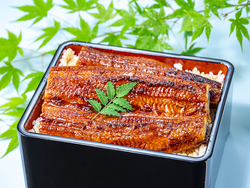 うなぎの蒲焼き